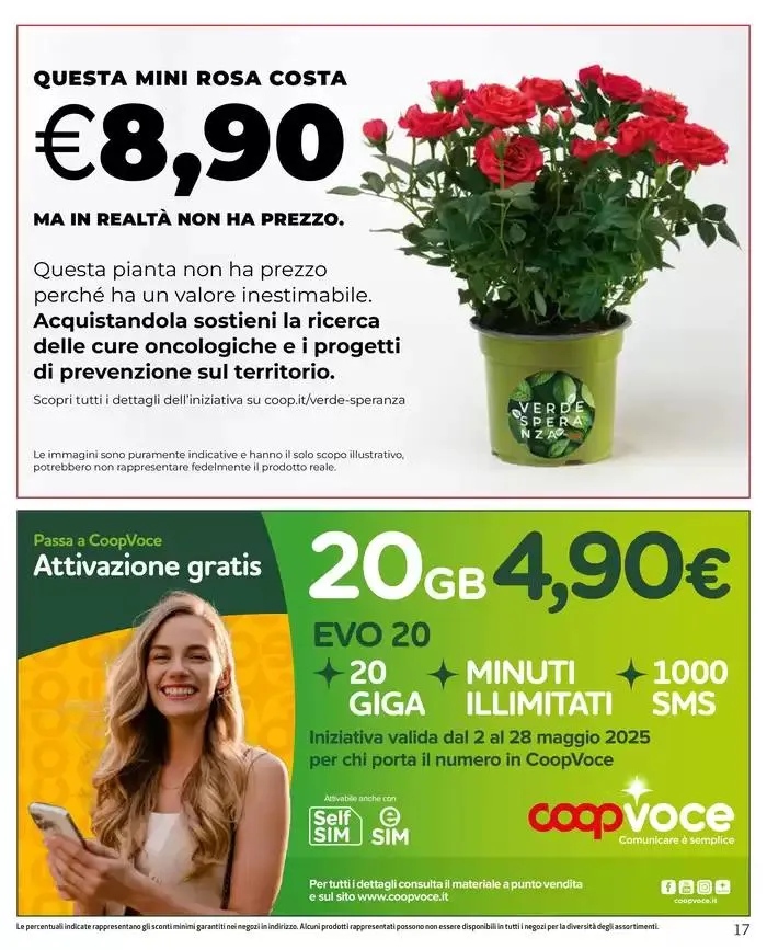 Grandi marche da 8 maggio a 21 maggio di 2025 - Pagina del volantino 17