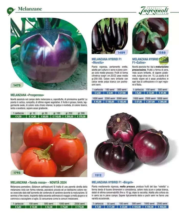 Novita 2025 da 4 novembre a 31 dicembre di 2025 - Pagina del volantino 45