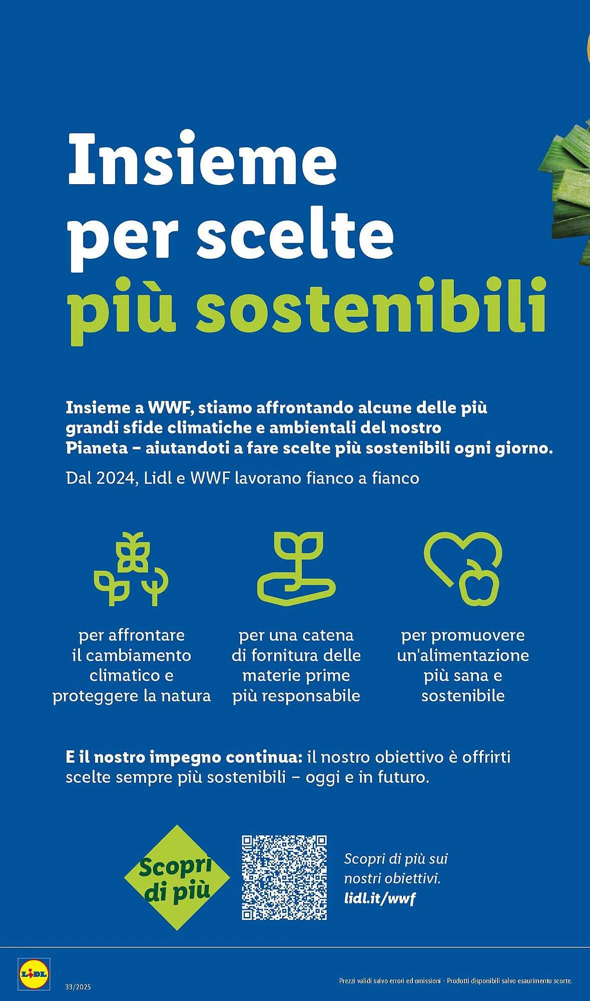 Volantino Lidl da 11 agosto a 17 agosto di 2025 - Pagina del volantino 28