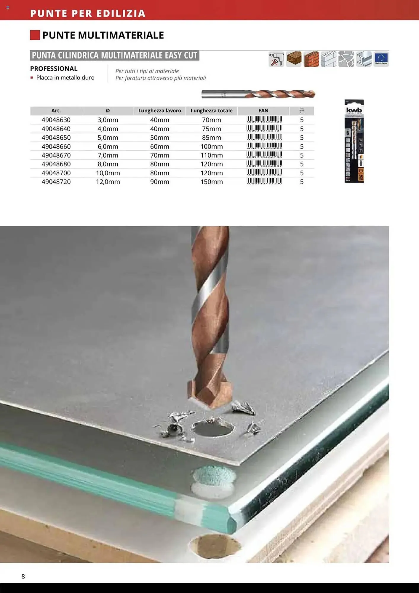 Volantino Einhell da 10 ottobre a 31 dicembre di 2025 - Pagina del volantino 10