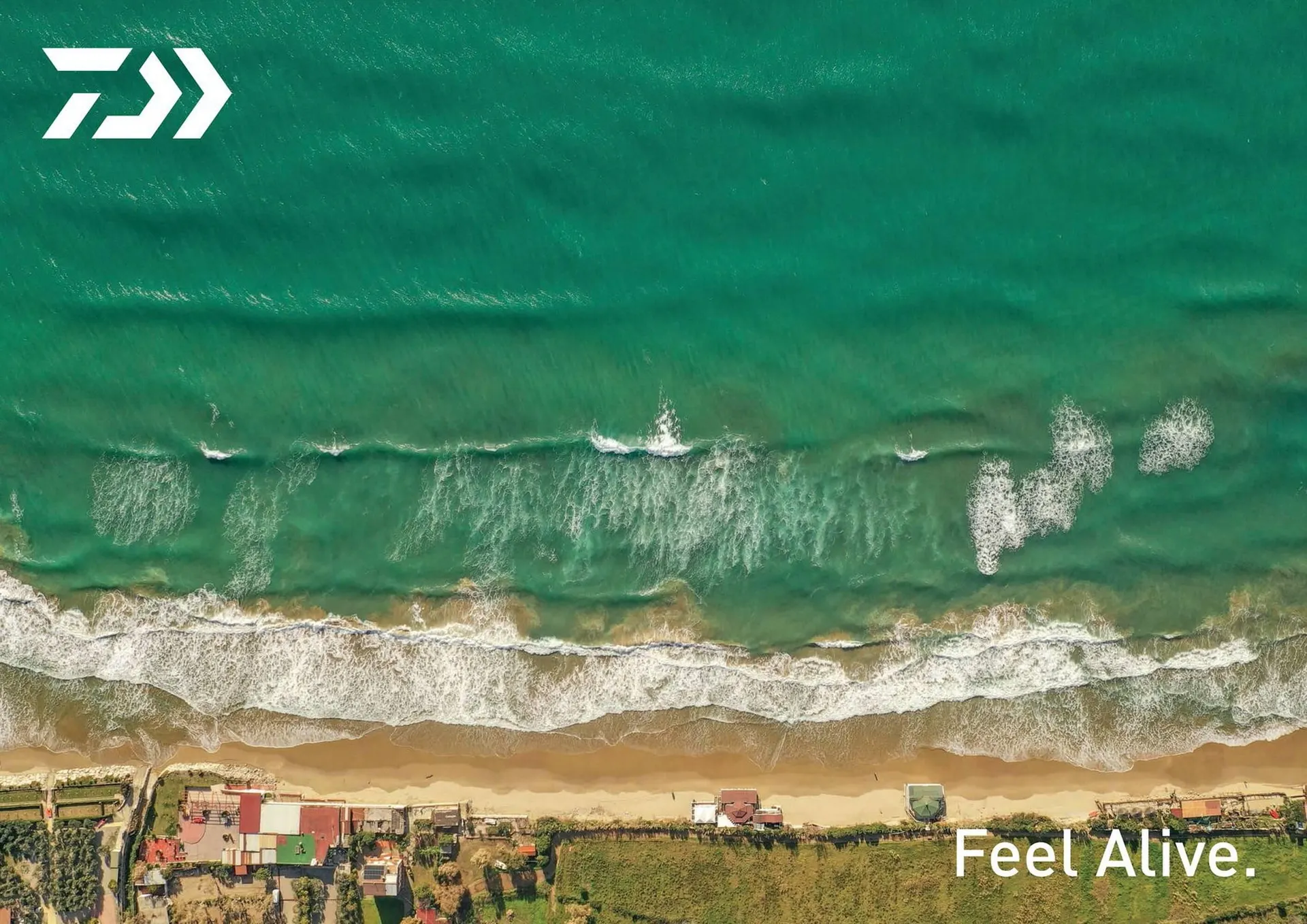 Volantino Daiwa da 13 dicembre a 30 dicembre di 2024 - Pagina del volantino 16