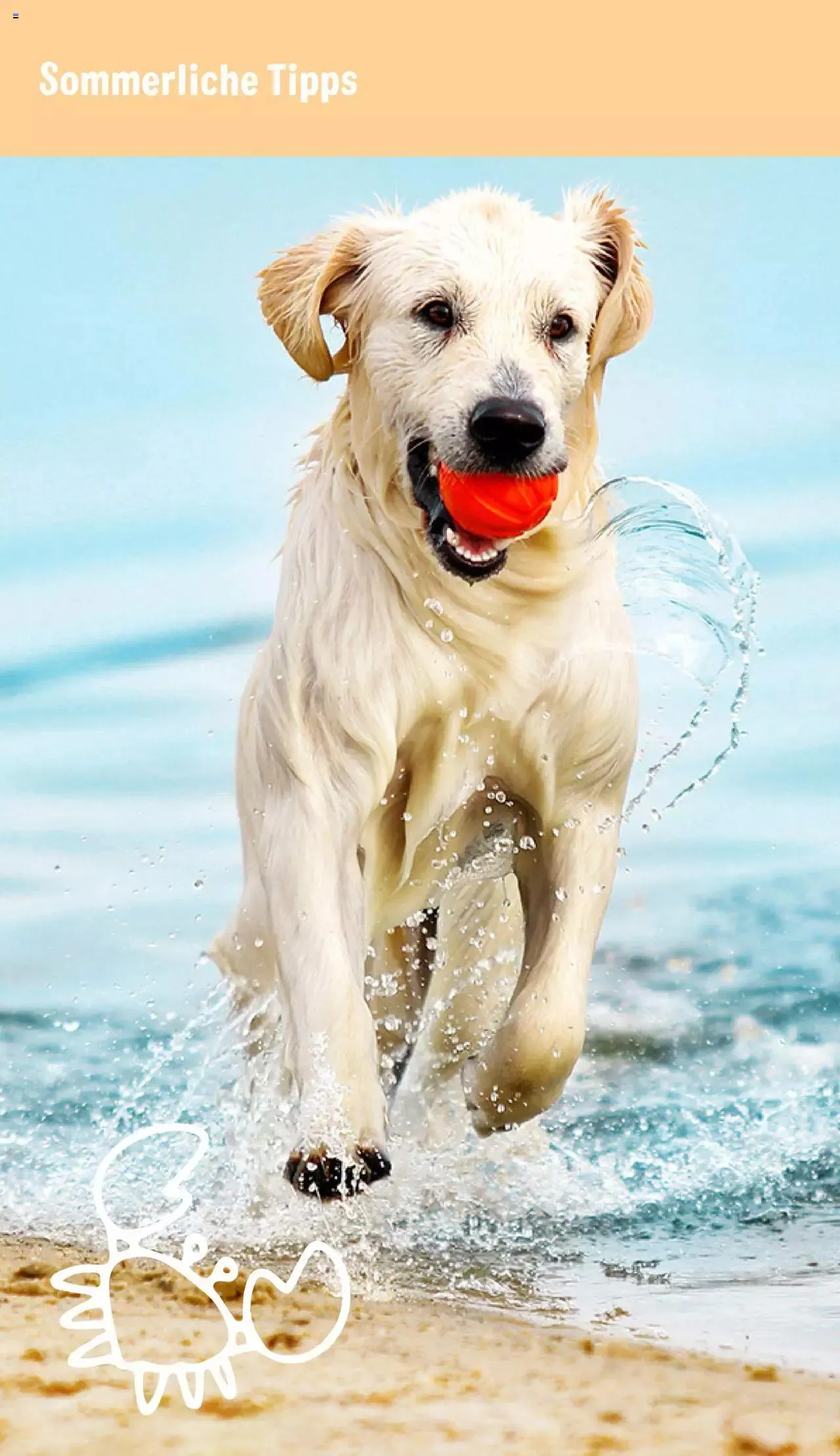 Volantino Zooplus da 1 luglio a 31 agosto di 2023 - Pagina del volantino 22