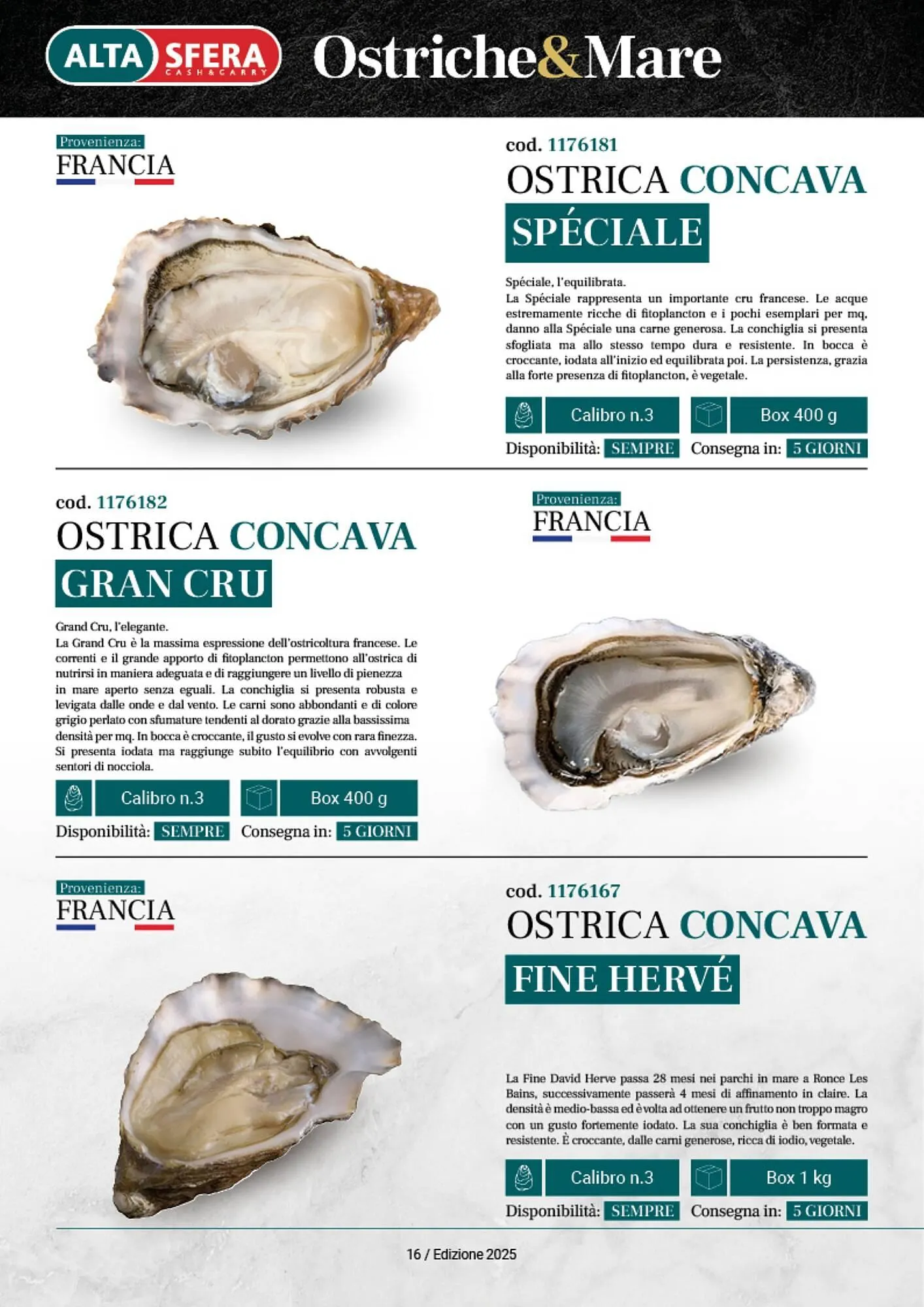 Volantino Altasfera da 14 aprile a 31 dicembre di 2025 - Pagina del volantino 16