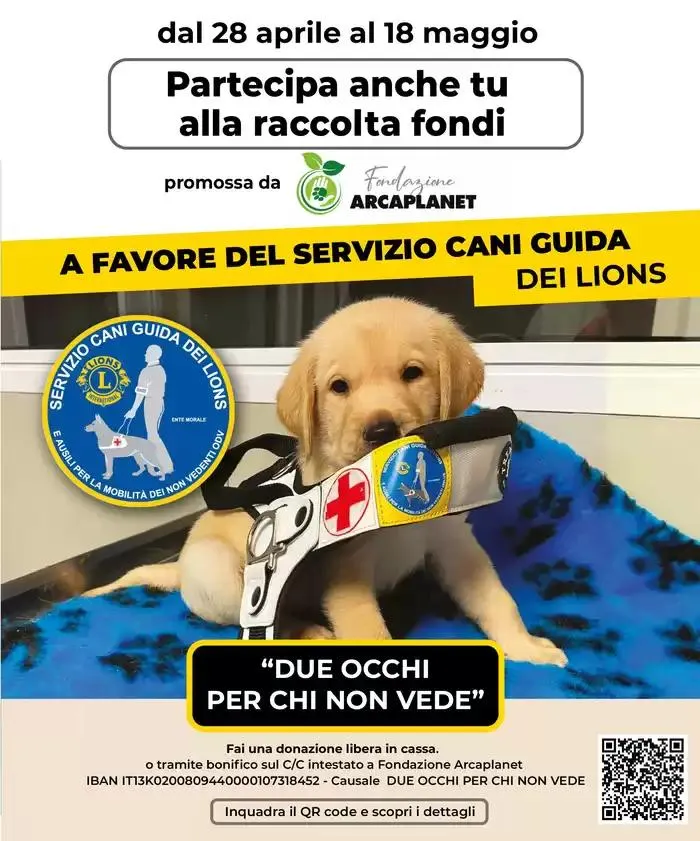 Punti e sconti a volonta da 28 aprile a 7 maggio di 2025 - Pagina del volantino 42