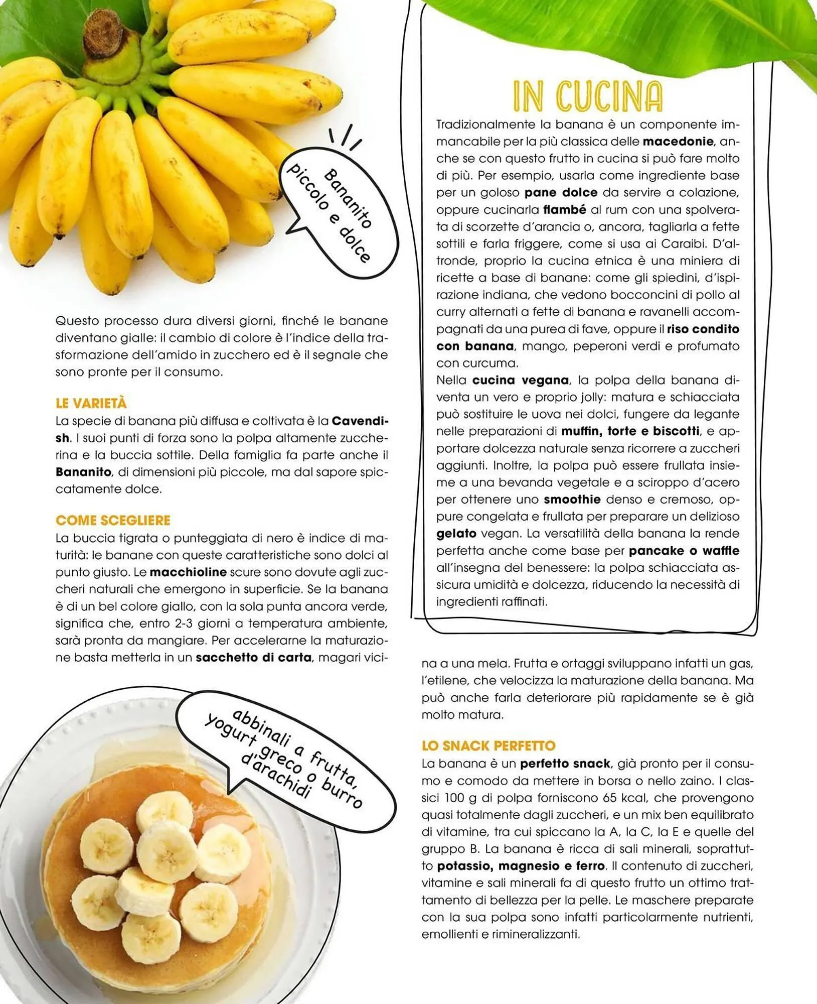 Volantino A&O da 1 gennaio a 28 febbraio di 2026 - Pagina del volantino 7