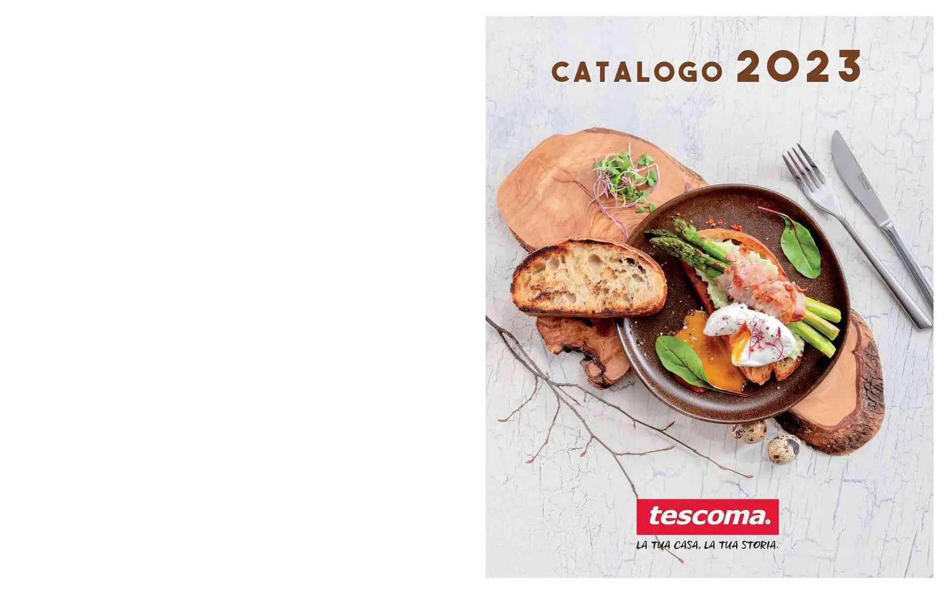 Volantino Tescoma - 1