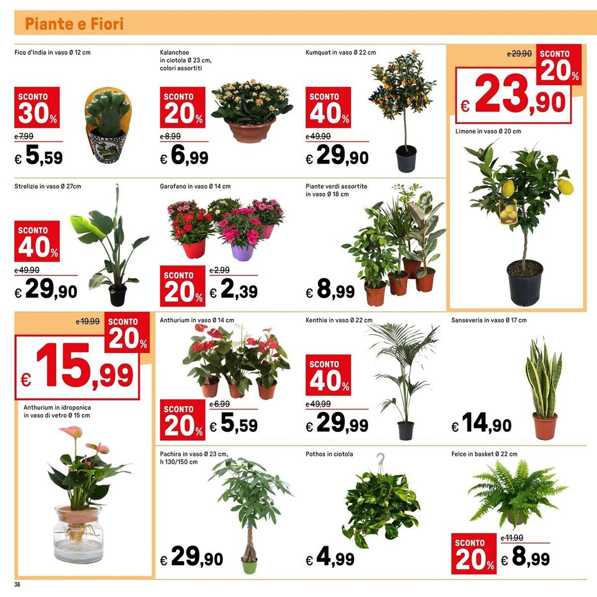 Volantino Iper La Grande da 16 gennaio a 25 gennaio di 2026 - Pagina del volantino 36