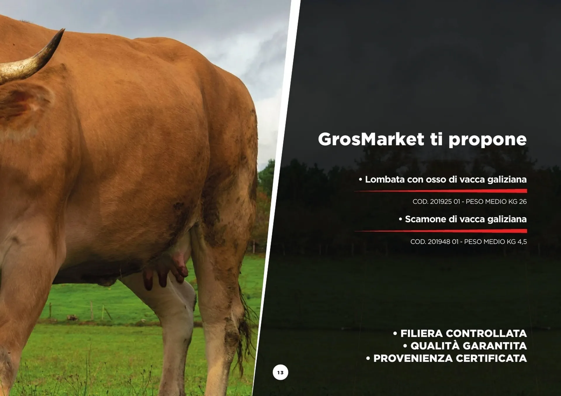 Volantino GrosMarket da 28 agosto a 30 marzo di 2025 - Pagina del volantino 13