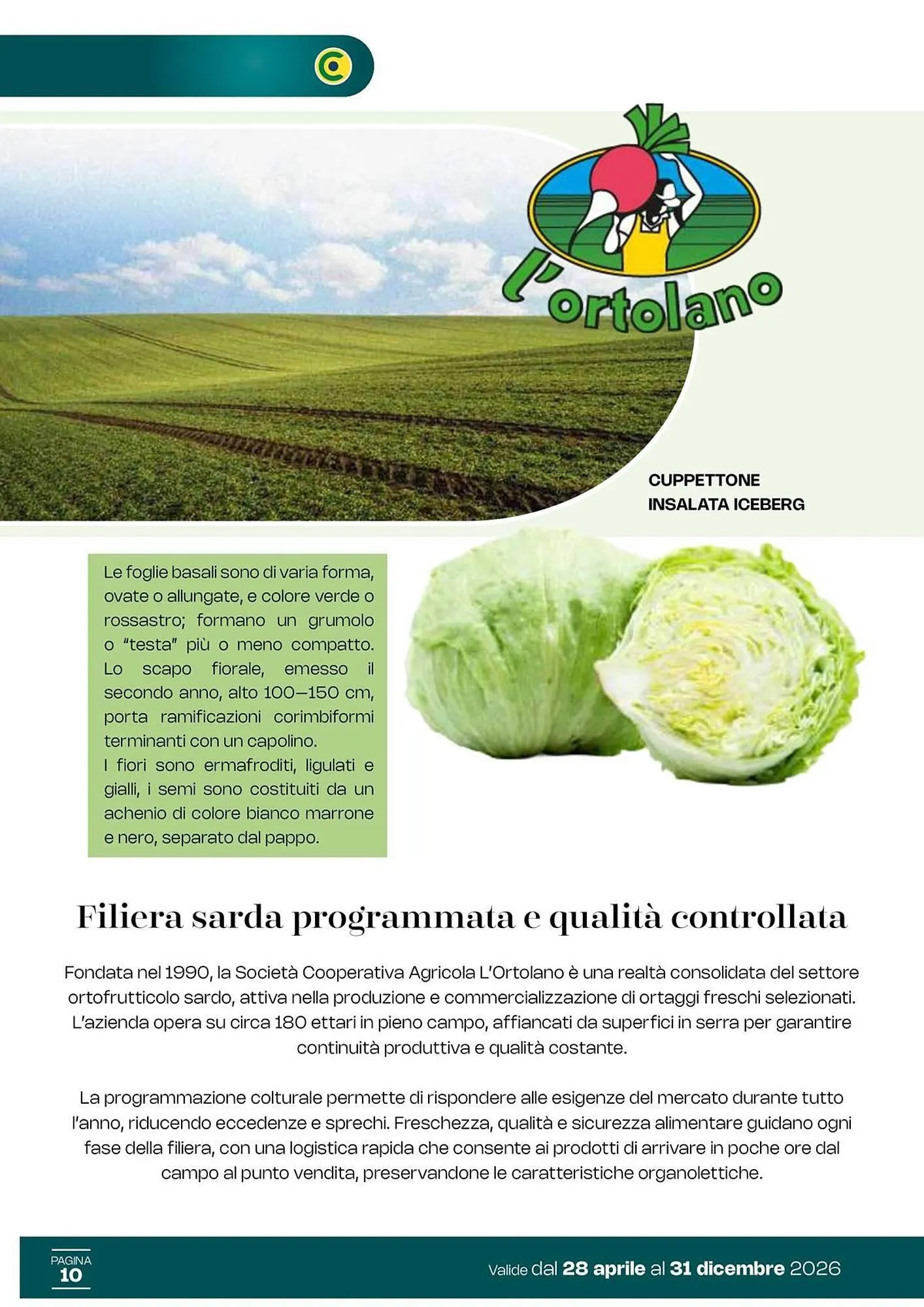 Volantino Centro Cash da 28 aprile a 31 dicembre di 2026 - Pagina del volantino 10