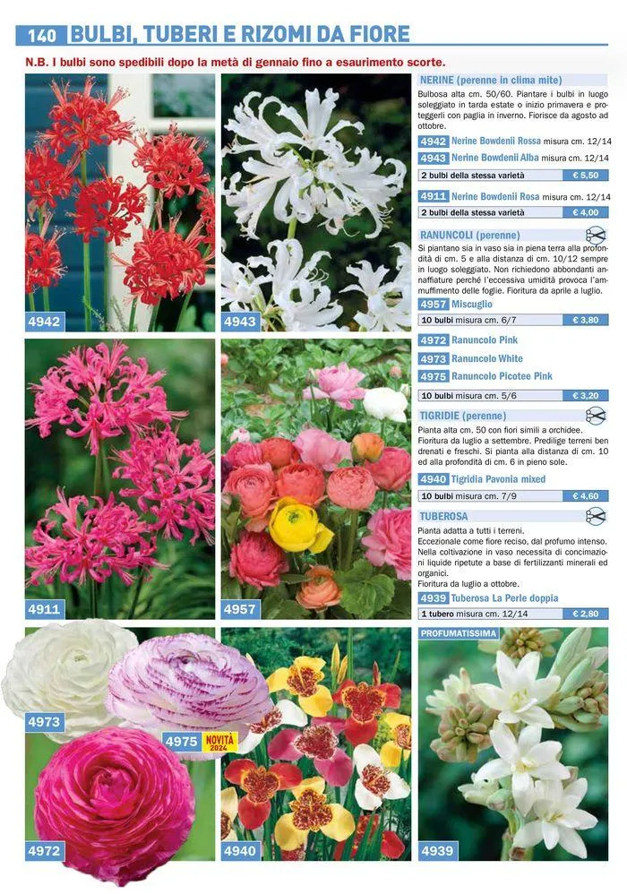 Bulbi Tuberi Rizomi da fiore da 25 marzo a 31 dicembre di 2024 - Pagina del volantino 14