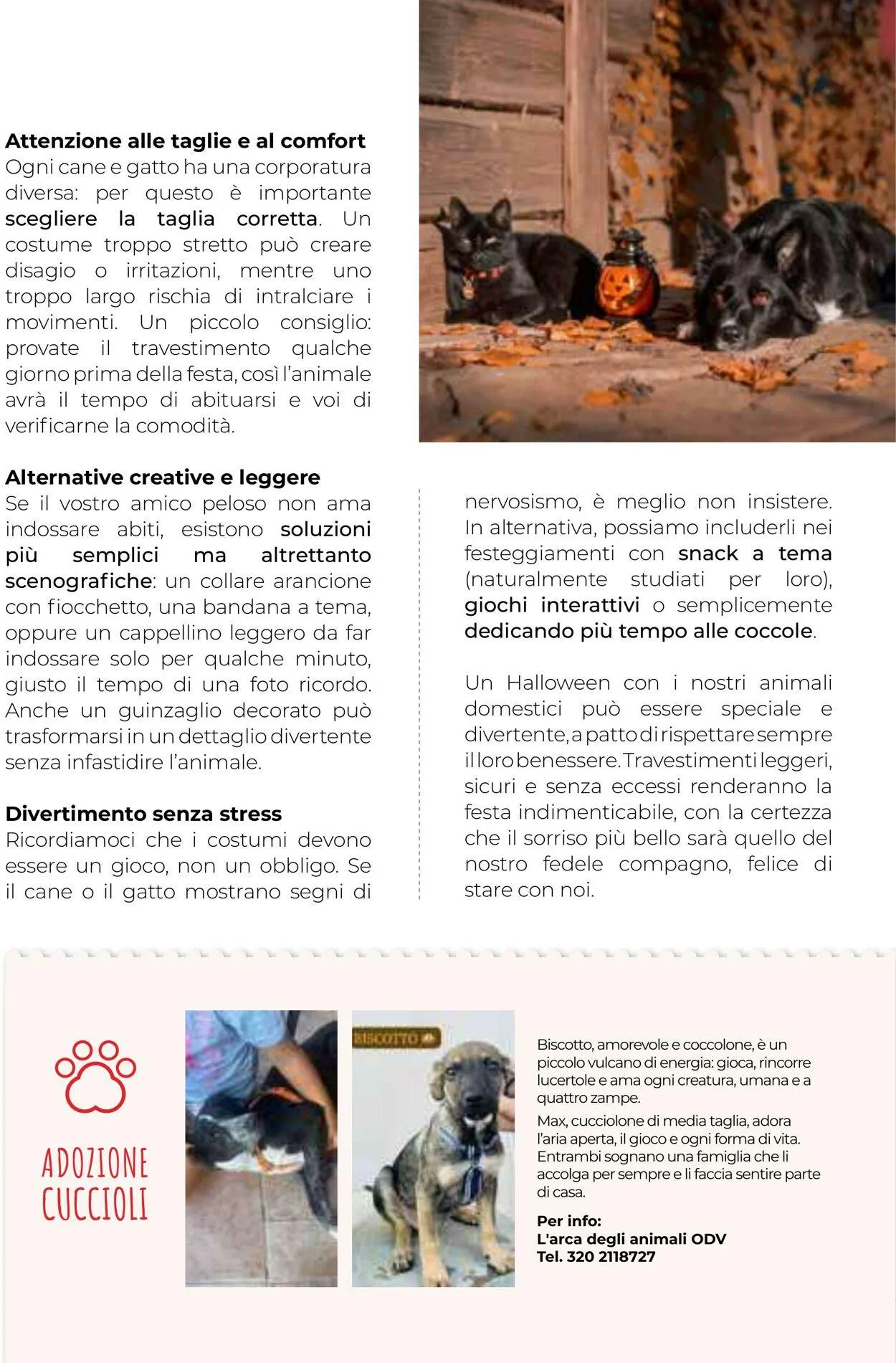 Gulliver Volantino attuale da 1 ottobre a 31 ottobre di 2025 - Pagina del volantino 89