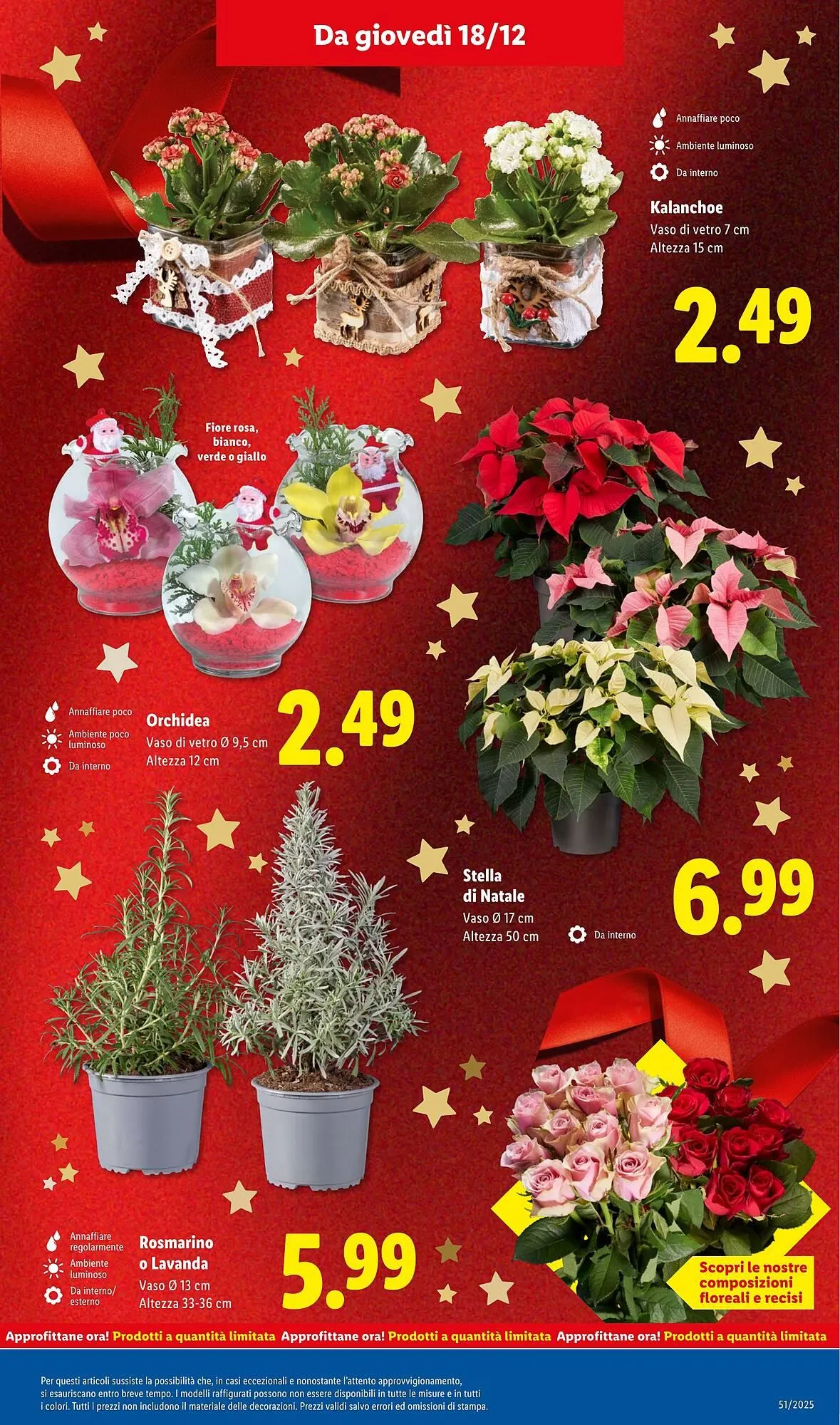Volantino Lidl da 15 dicembre a 21 dicembre di 2025 - Pagina del volantino 33