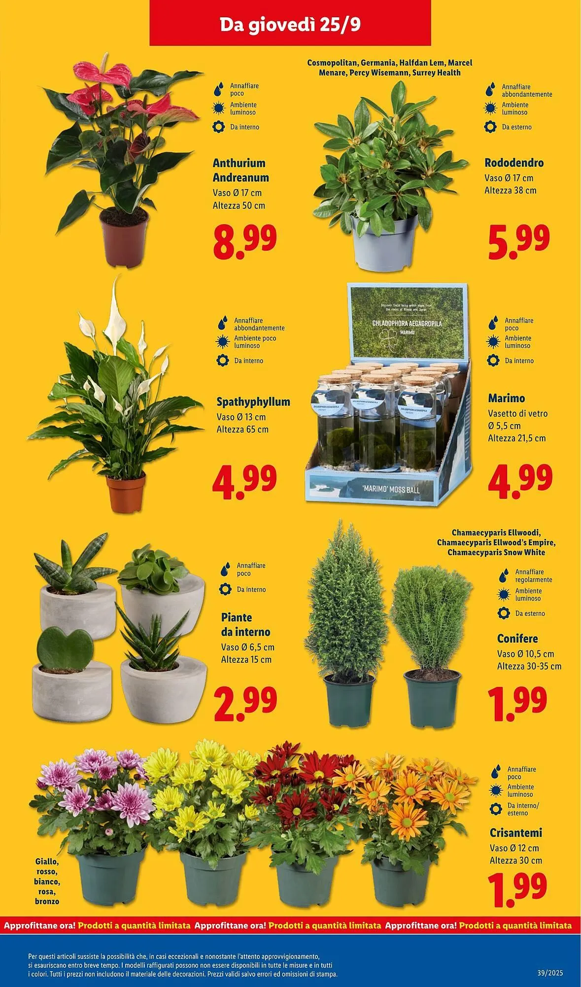 Volantino Lidl da 22 settembre a 28 settembre di 2025 - Pagina del volantino 43