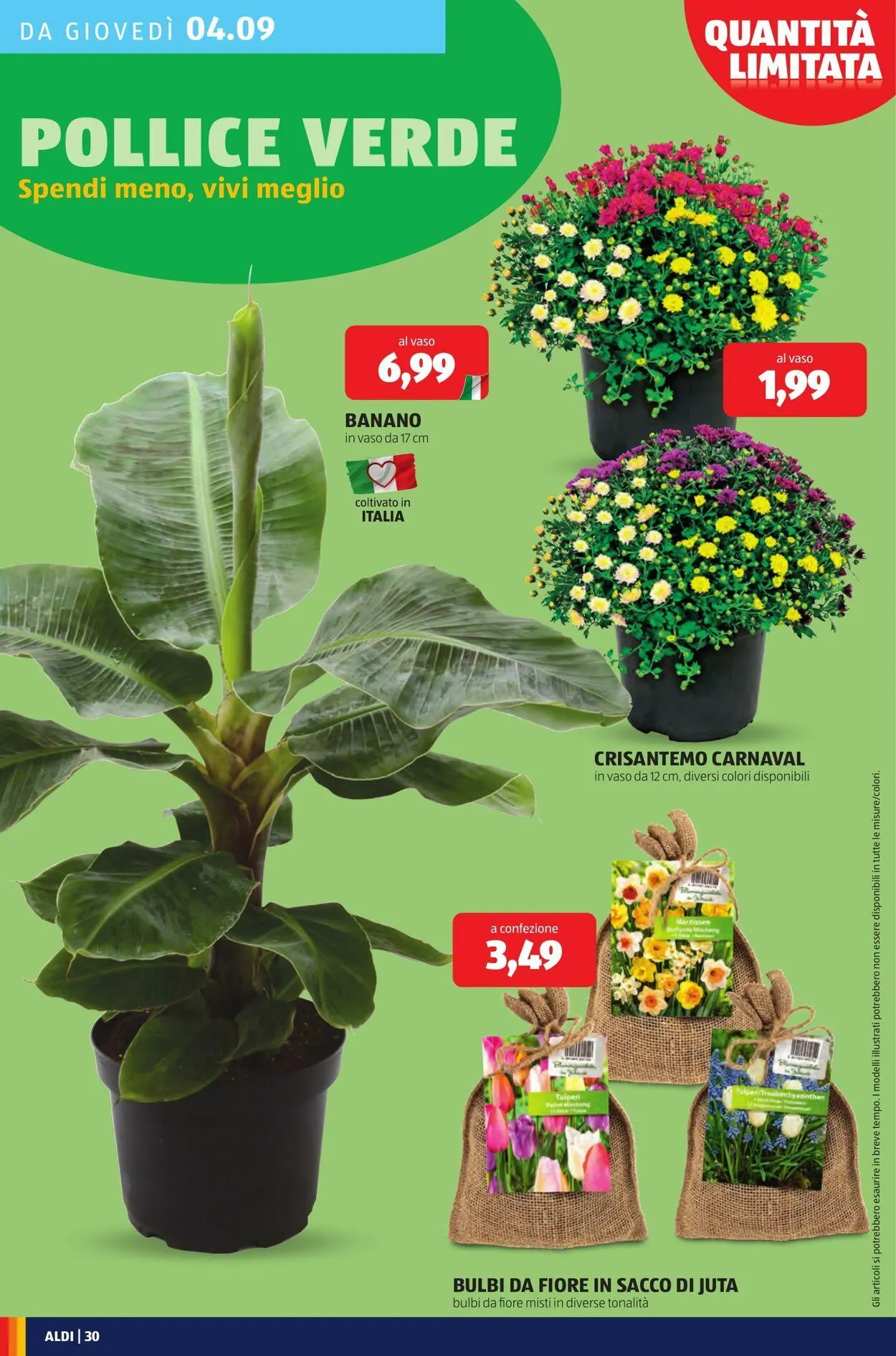 Aldi Volantino attuale da 1 settembre a 7 settembre di 2025 - Pagina del volantino 30