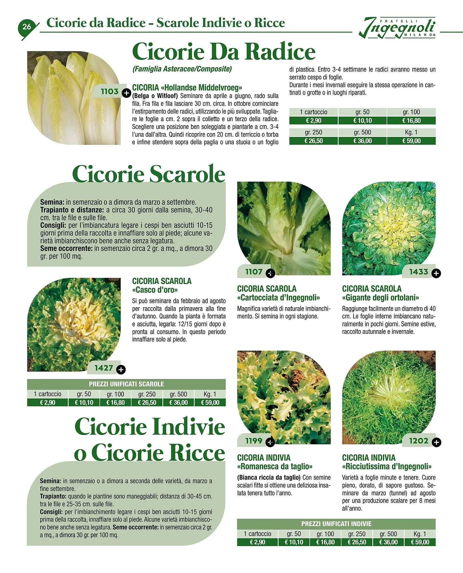 Volantino Ingegnoli da 4 novembre a 31 dicembre di 2025 - Pagina del volantino 28