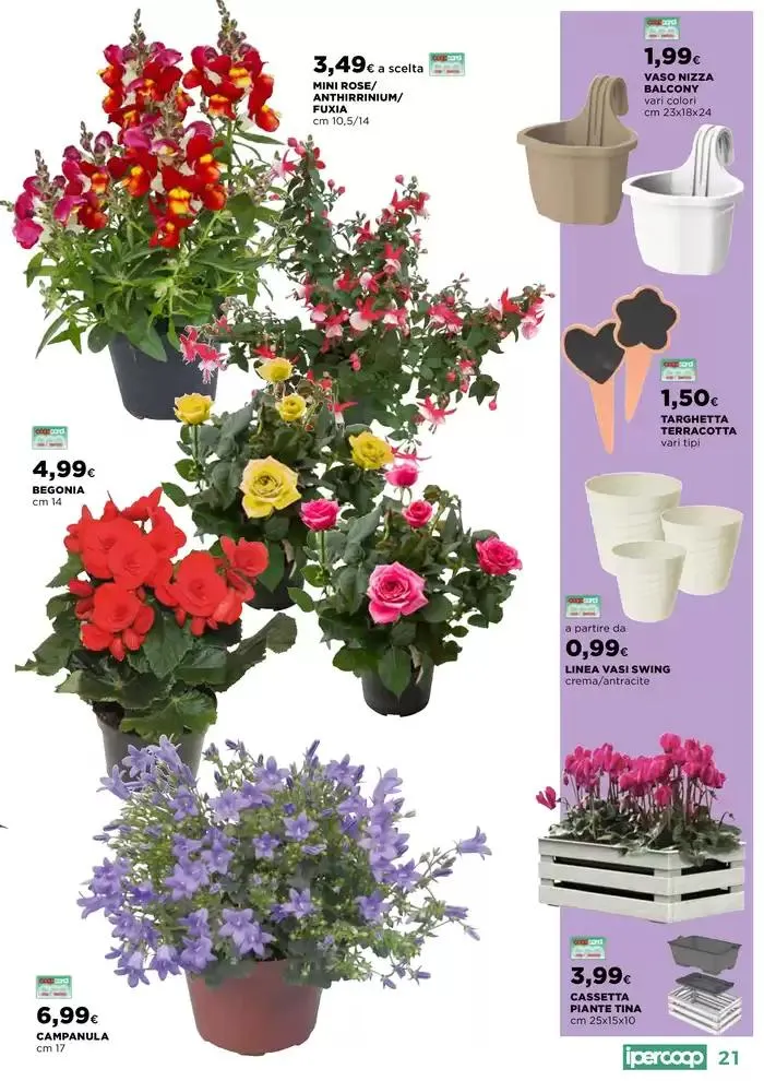 Catalogo Primavera da 10 aprile a 2 giugno di 2025 - Pagina del volantino 21