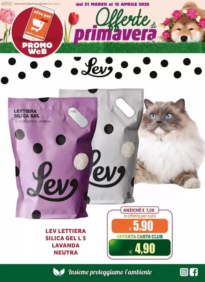 Offerte di Primavera da 31 marzo a 15 aprile di 2025 - Pagina del volantino 3