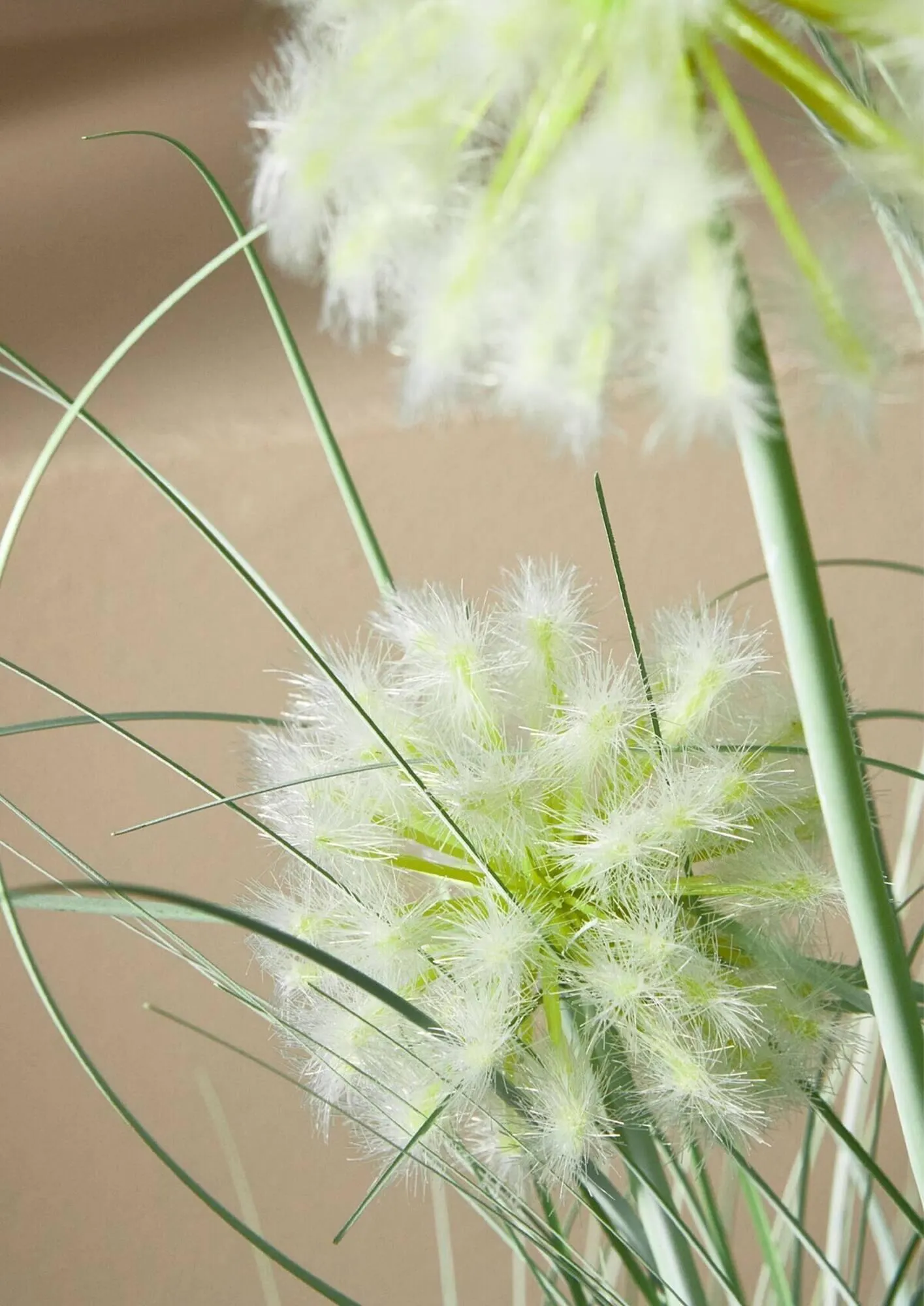 Volantino Bizzotto da 20 settembre a 28 dicembre di 2024 - Pagina del volantino 169