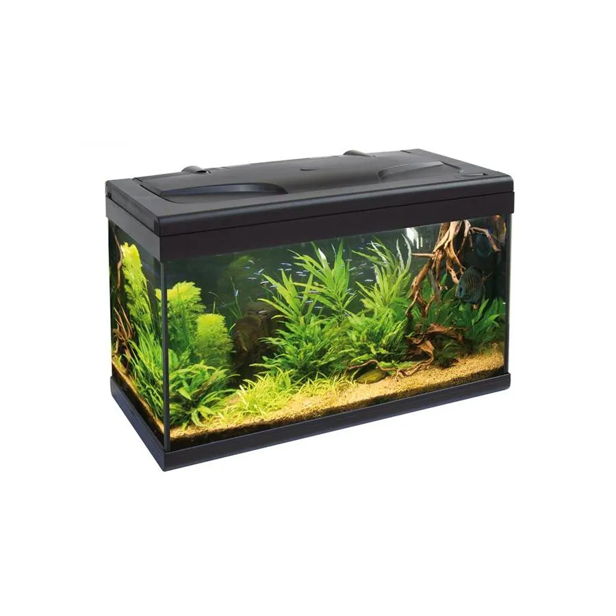 Acquario aloha ekoline