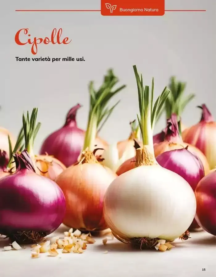 Sapori Italiani da 12 marzo a 31 marzo di 2025 - Pagina del volantino 15