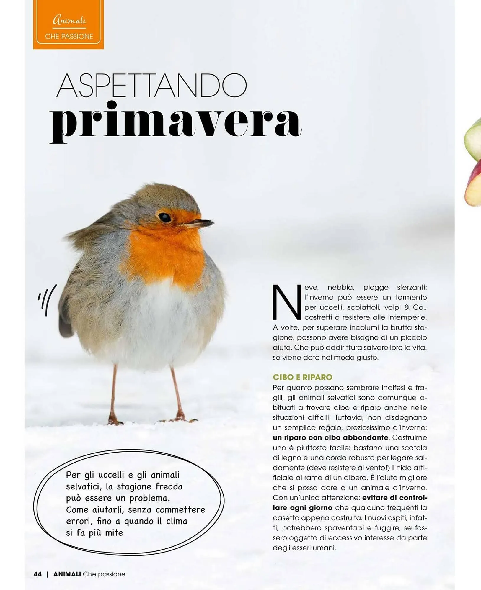 Volantino A&O da 1 gennaio a 28 febbraio di 2026 - Pagina del volantino 45