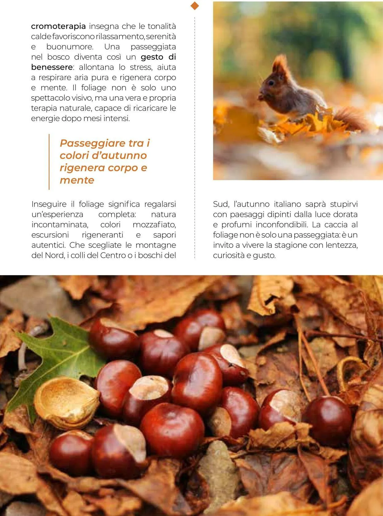 Gulliver Volantino attuale da 1 ottobre a 31 ottobre di 2025 - Pagina del volantino 65