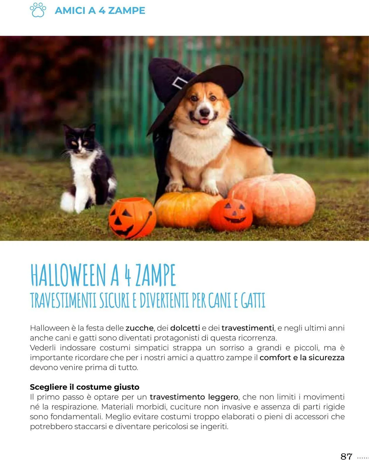 Gulliver Volantino attuale da 1 ottobre a 31 ottobre di 2025 - Pagina del volantino 87