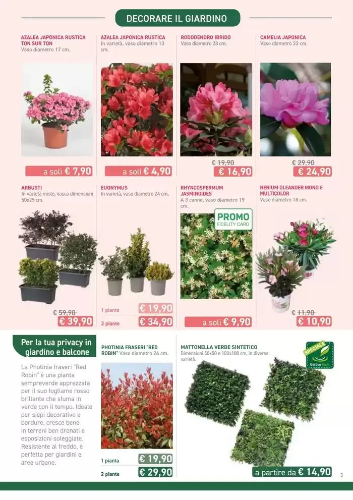 Festa di Primavera da 13 marzo a 13 aprile di 2025 - Pagina del volantino 3