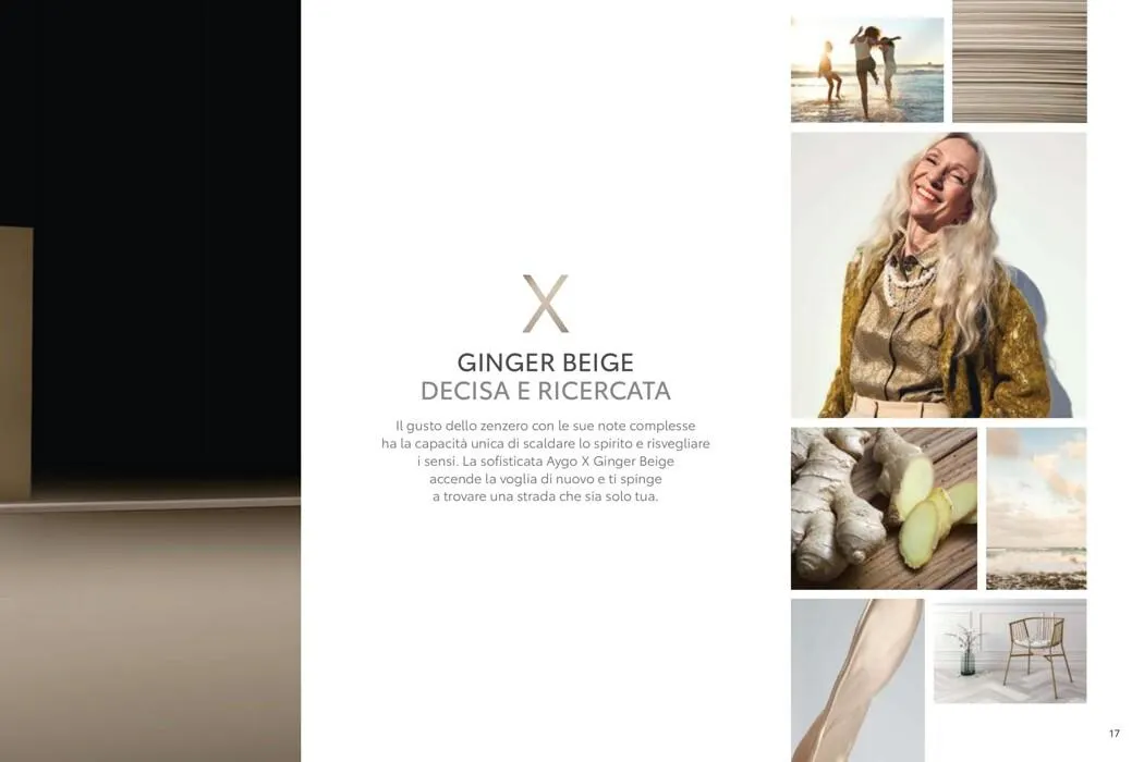 Offerte da 15 maggio a 31 gennaio di 2028 - Pagina del volantino 17