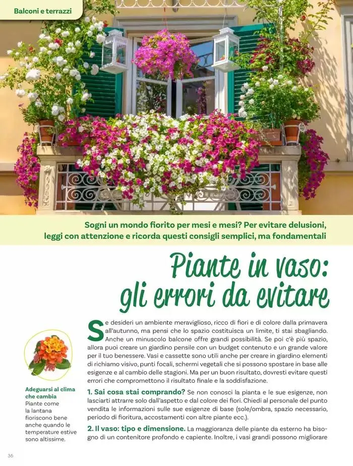 Idee per la vita all' aperto da 18 aprile a 18 maggio di 2025 - Pagina del volantino 36