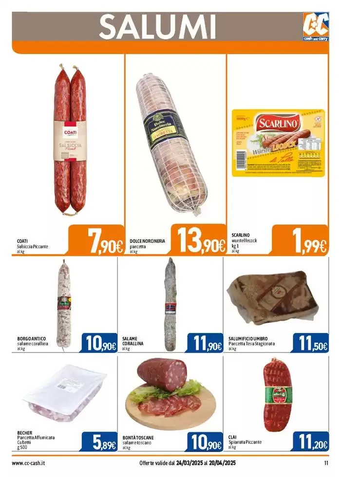 PROFESSIONAL da 24 marzo a 20 aprile di 2025 - Pagina del volantino 11