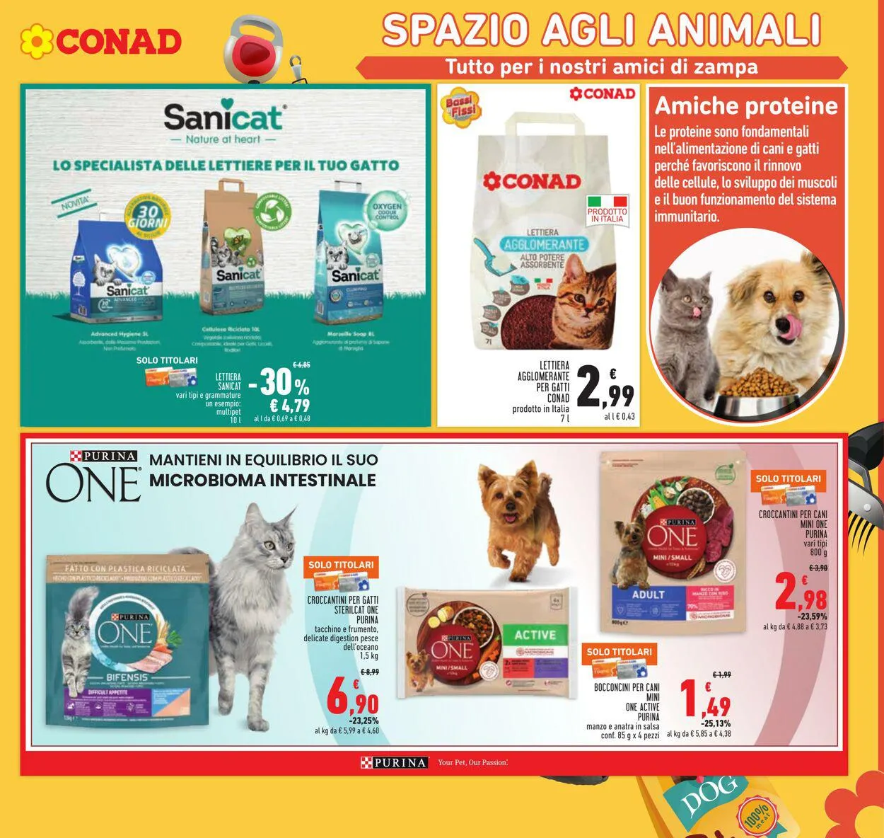 Conad - Roma Volantino attuale da 27 settembre a 8 ottobre di 2023 - Pagina del volantino 19