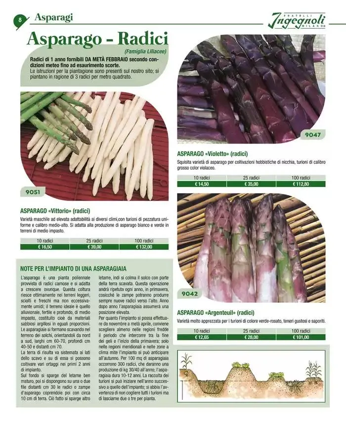 Catalogo guida 2025 da 20 gennaio a 31 dicembre di 2025 - Pagina del volantino 10