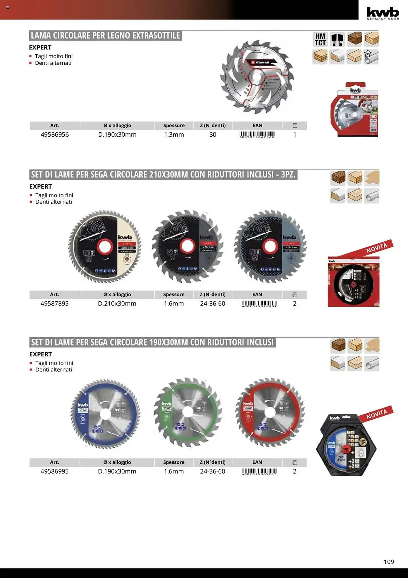 Volantino Einhell da 10 ottobre a 31 dicembre di 2025 - Pagina del volantino 111