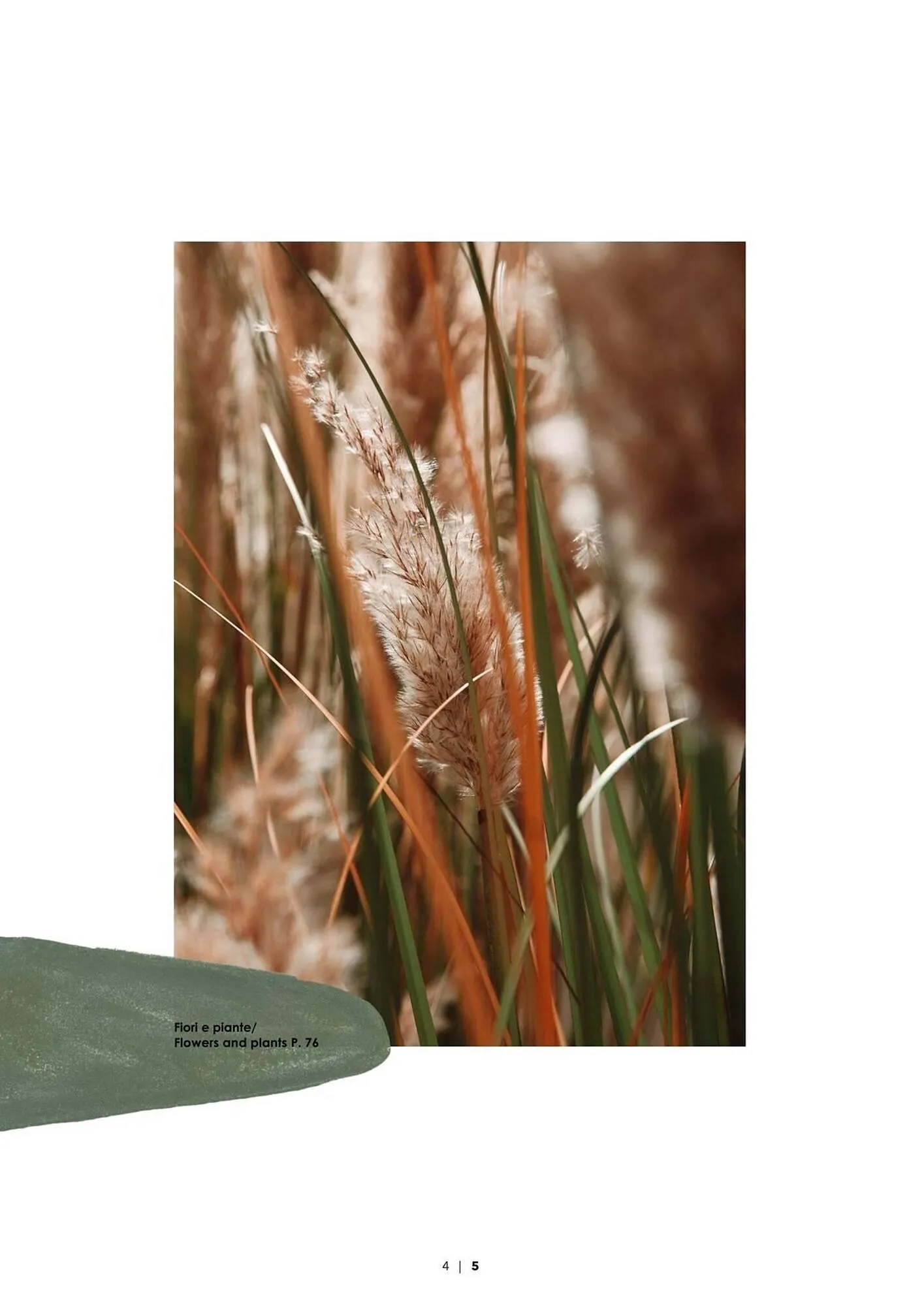 Volantino Bizzotto da 3 febbraio a 31 dicembre di 2025 - Pagina del volantino 6