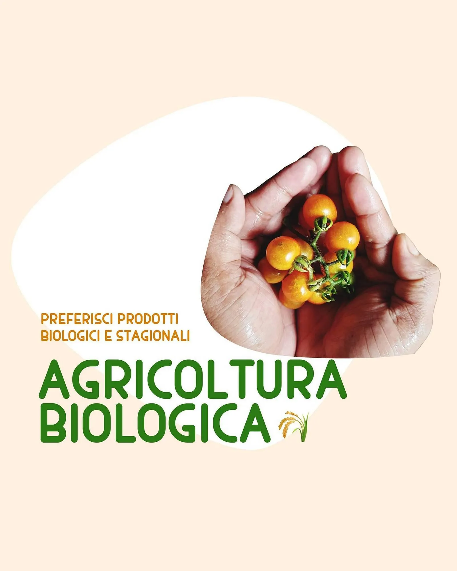 Volantino Regina da 26 giugno a 6 luglio di 2024 - Pagina del volantino 2