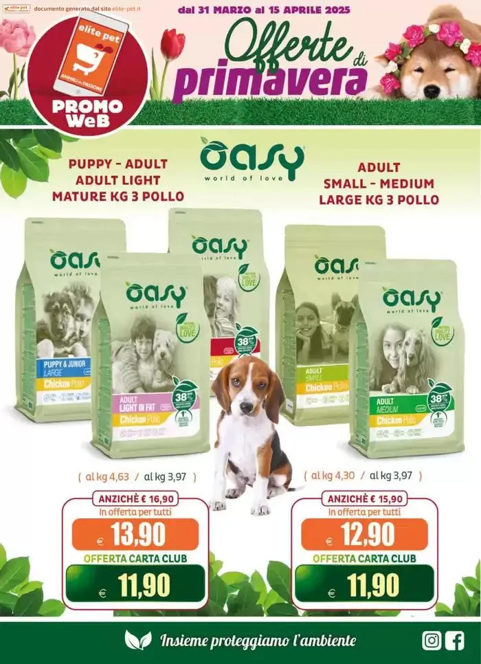 Offerte di Primavera da 31 marzo a 15 aprile di 2025 - Pagina del volantino 4