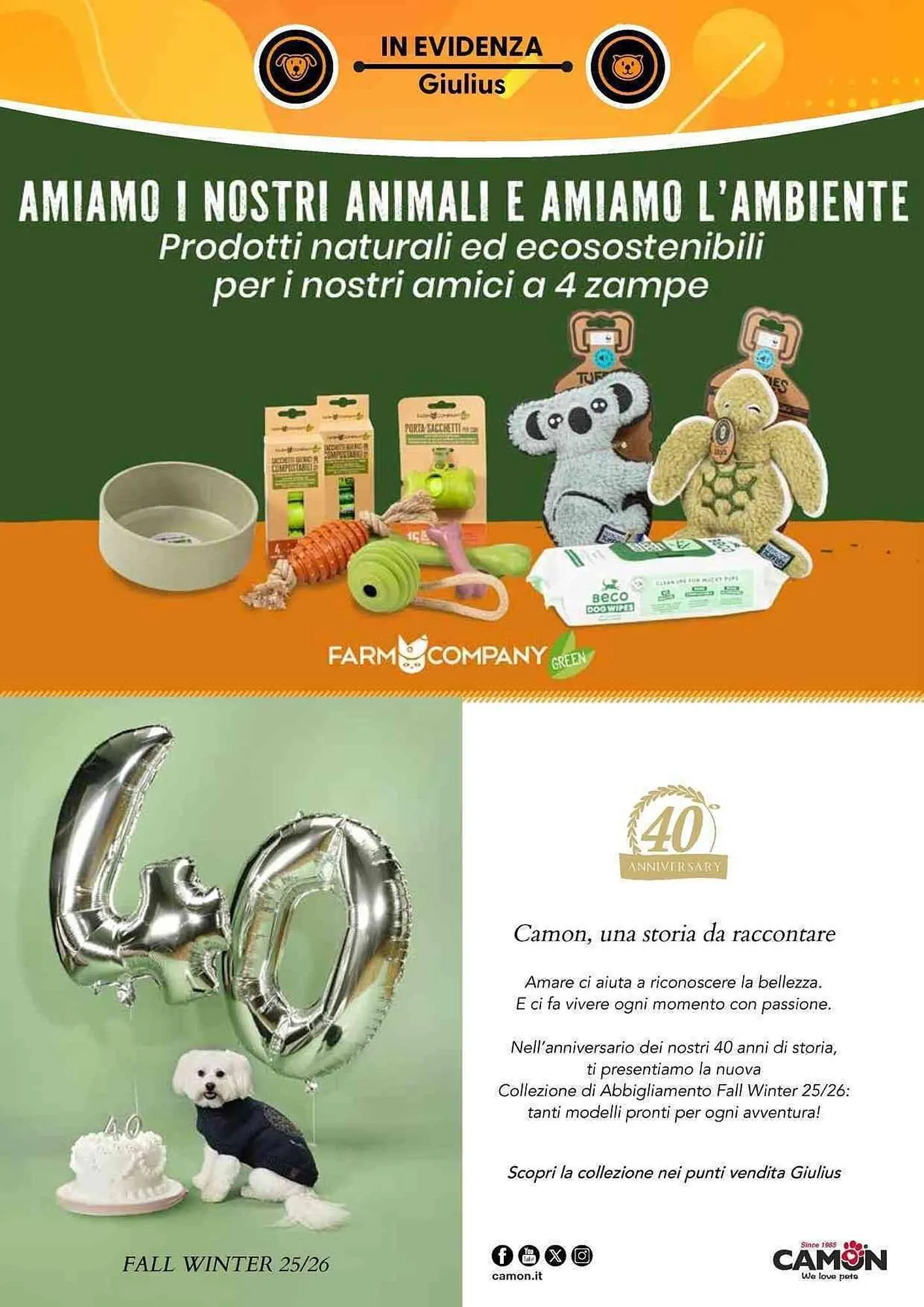 Volantino Giulius da 1 settembre a 31 ottobre di 2025 - Pagina del volantino 4