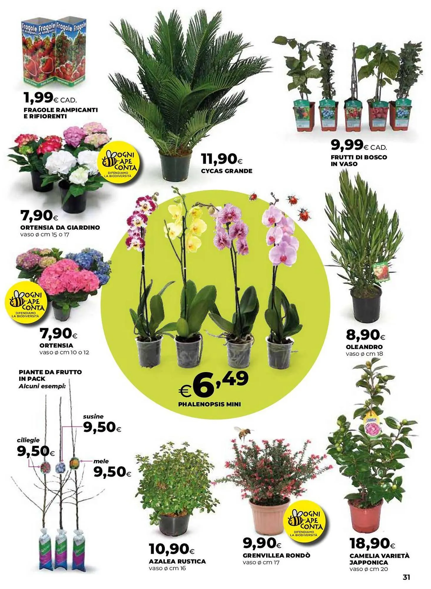 Volantino Ipercoop da 12 marzo a 22 aprile di 2026 - Pagina del volantino 31