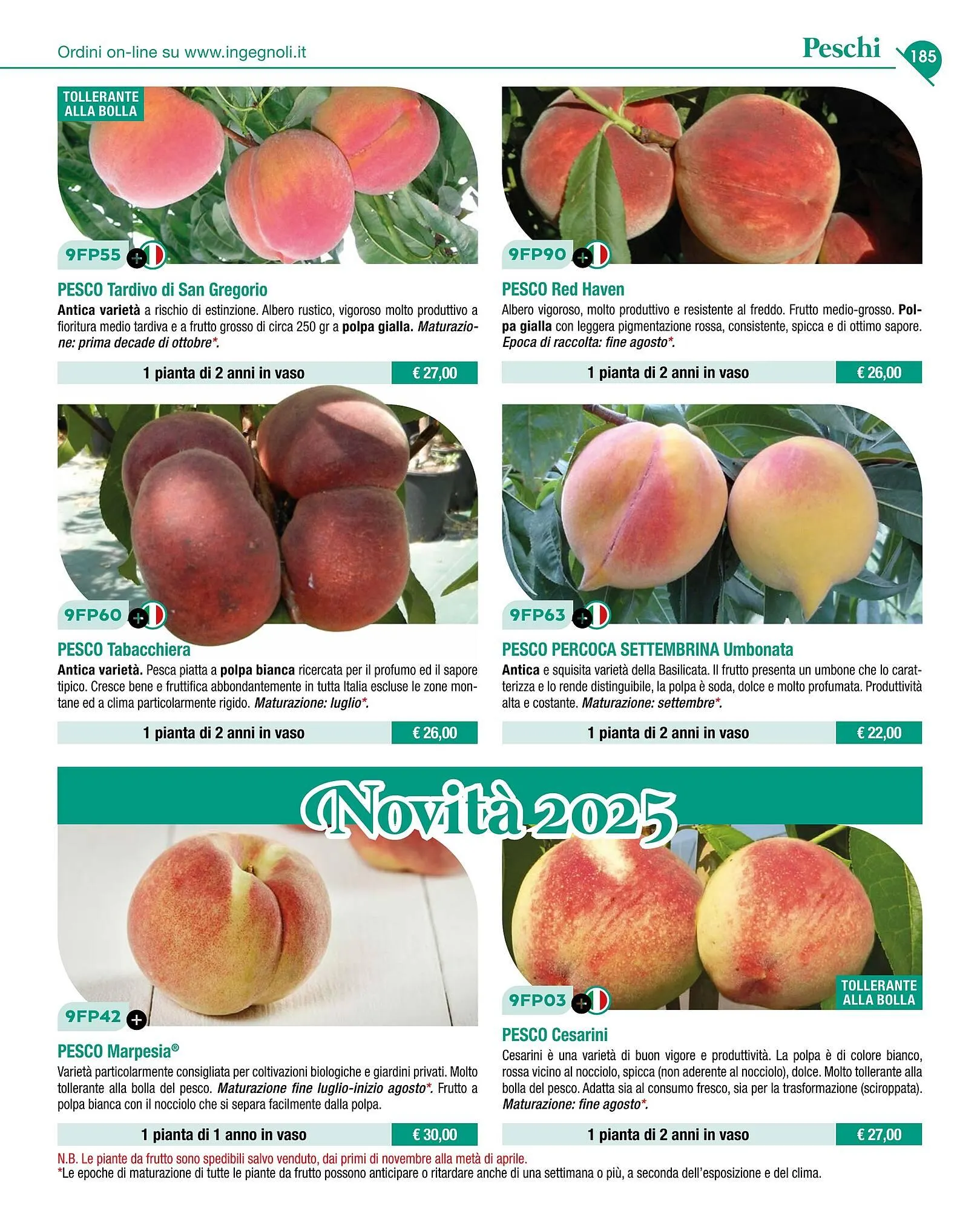 Volantino Ingegnoli da 4 novembre a 31 dicembre di 2025 - Pagina del volantino 187