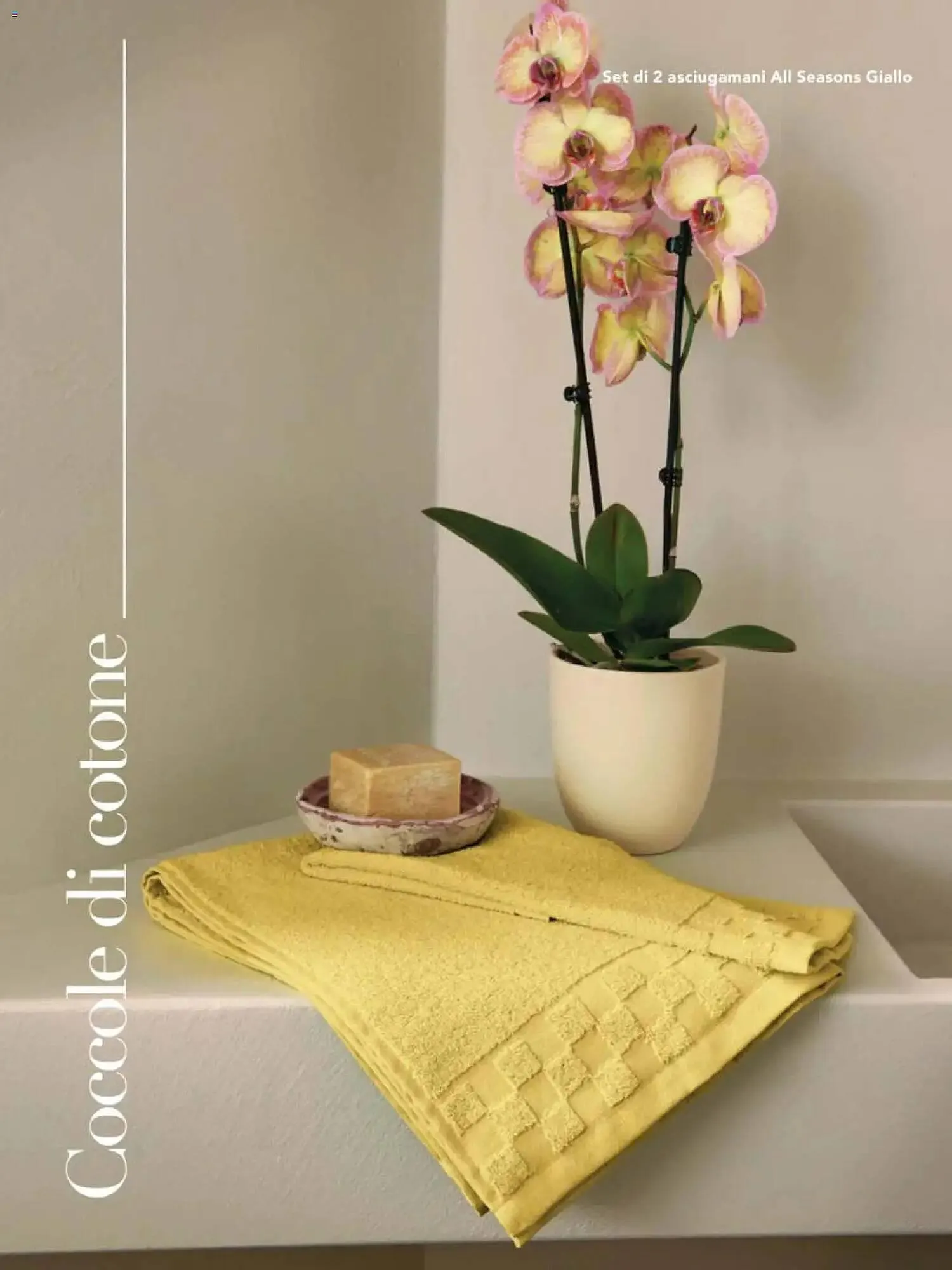 Catalogo Avon da 31 dicembre a 31 marzo di 2026 - Pagina del volantino 8