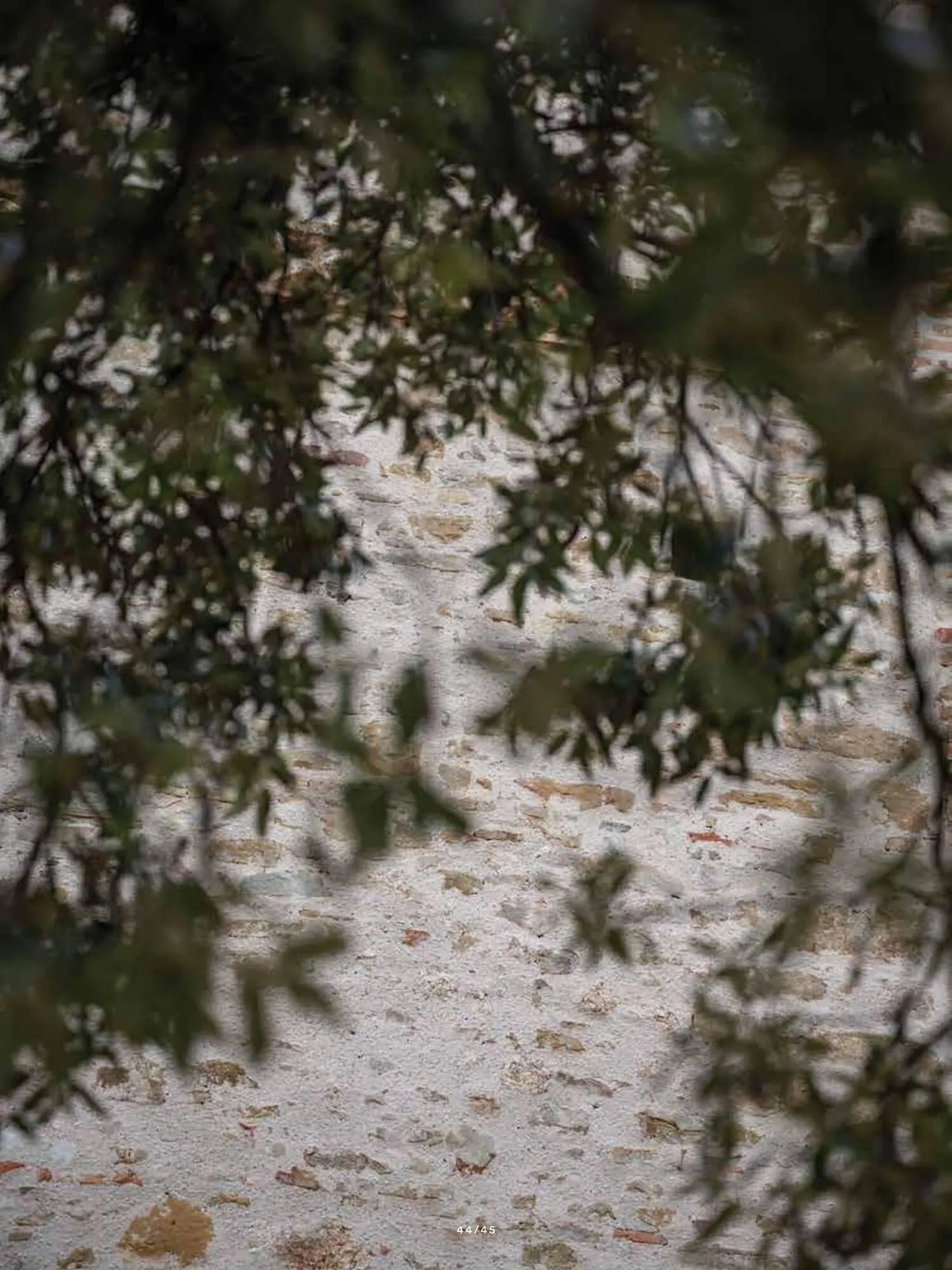 Volantino Fazzini da 21 ottobre a 31 dicembre di 2025 - Pagina del volantino 48