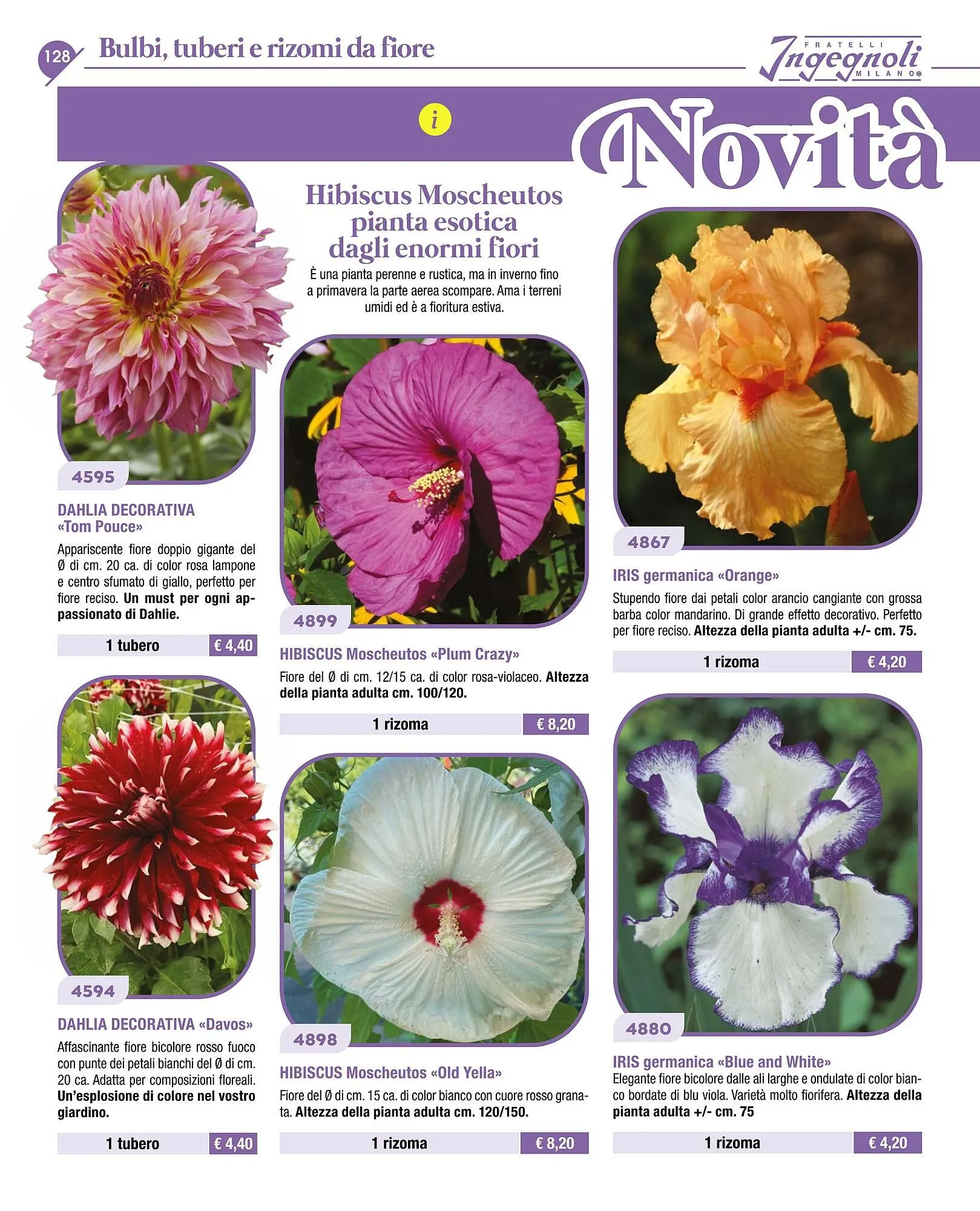 Volantino Ingegnoli da 4 novembre a 31 dicembre di 2025 - Pagina del volantino 130