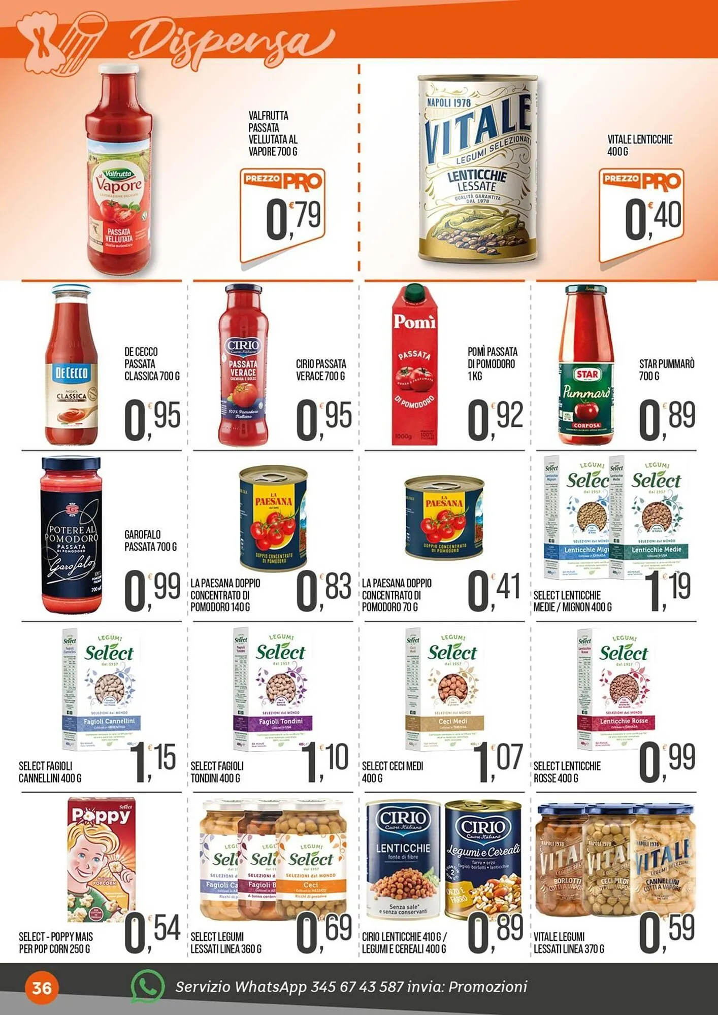 Volantino Cash pro da 15 dicembre a 24 dicembre di 2025 - Pagina del volantino 36