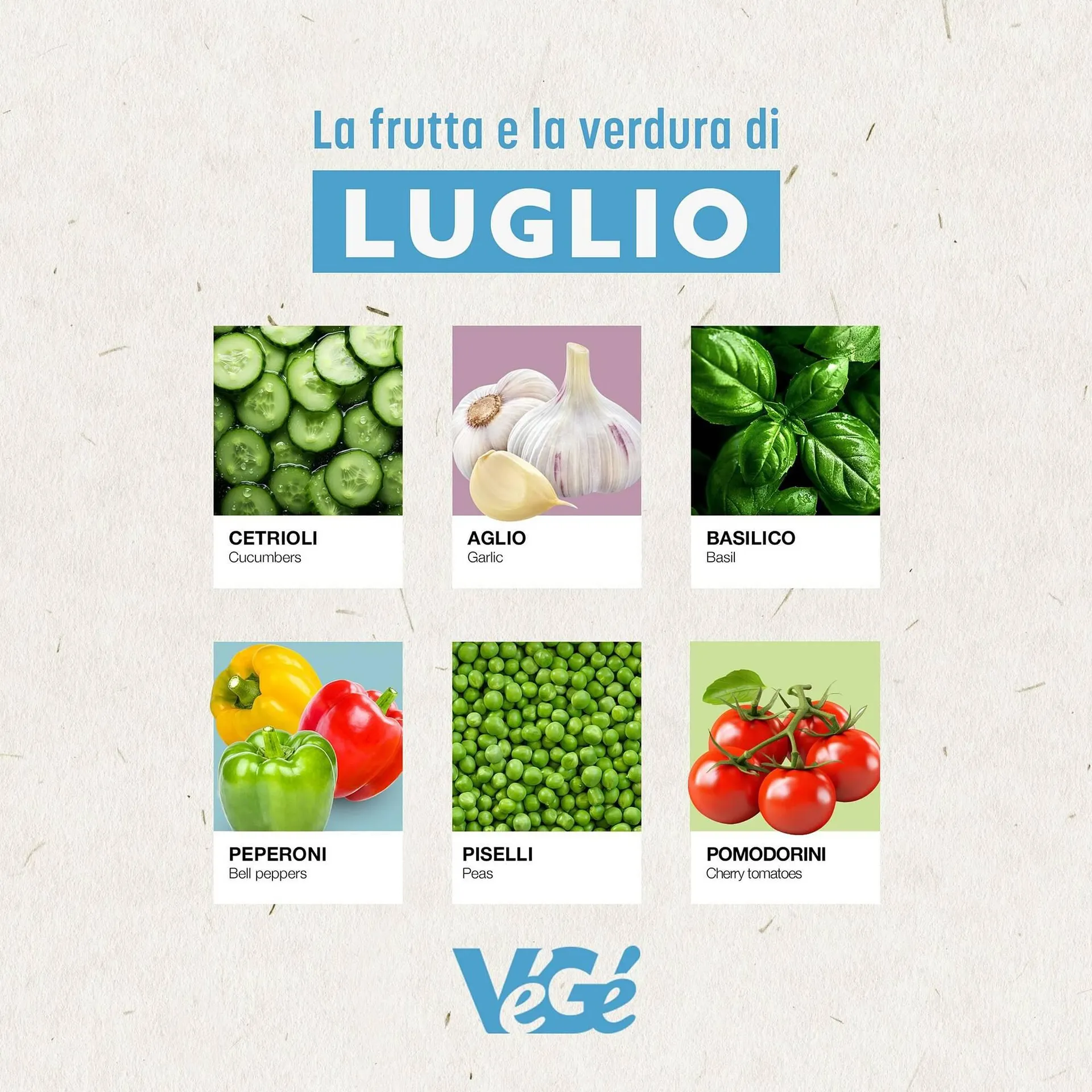 Volantino Gruppo VéGé da 23 luglio a 31 luglio di 2024 - Pagina del volantino 2