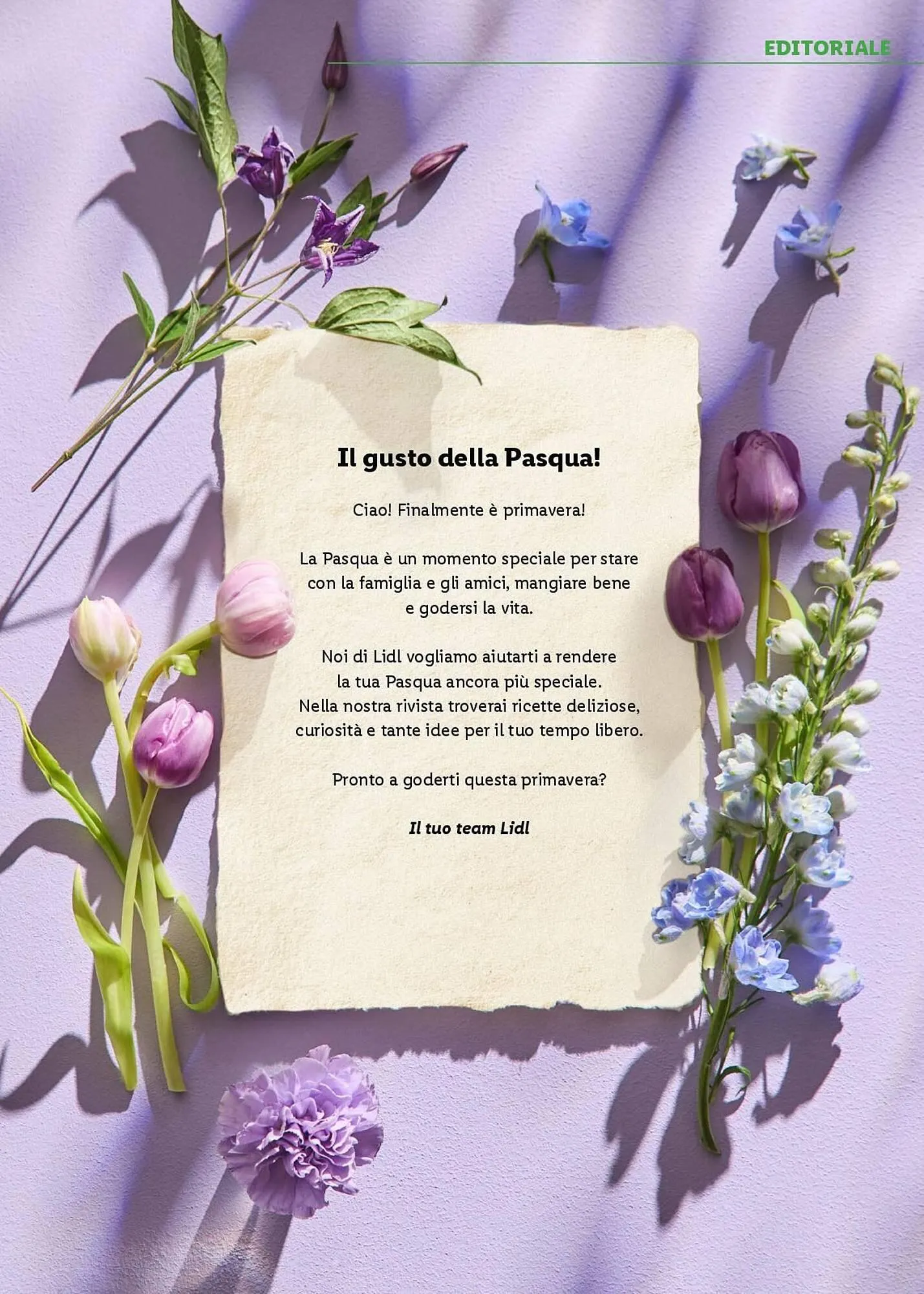 Volantino Lidl da 24 marzo a 20 aprile di 2025 - Pagina del volantino 4