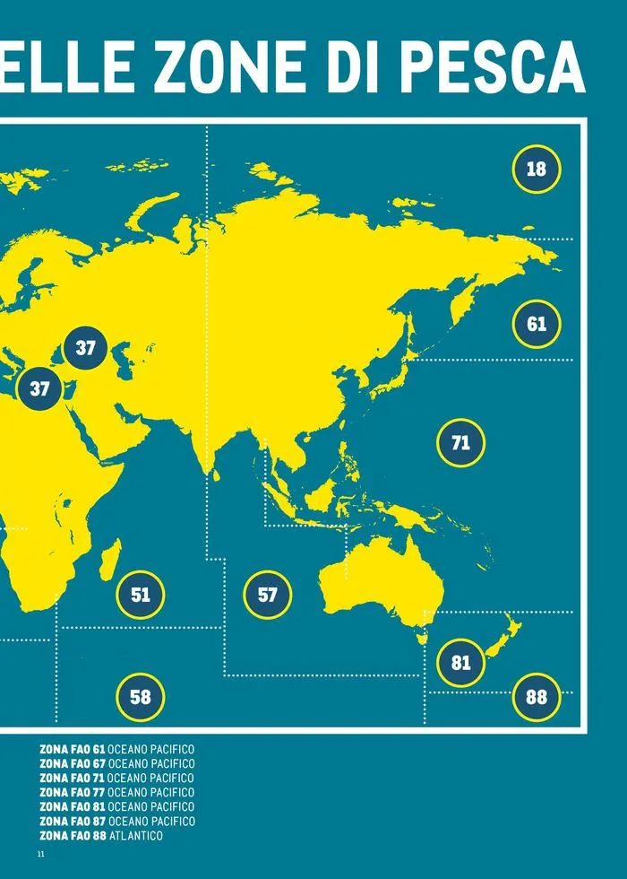 Catalogo Surgelati 2024 da 21 maggio a 31 maggio di 2025 - Pagina del volantino 11