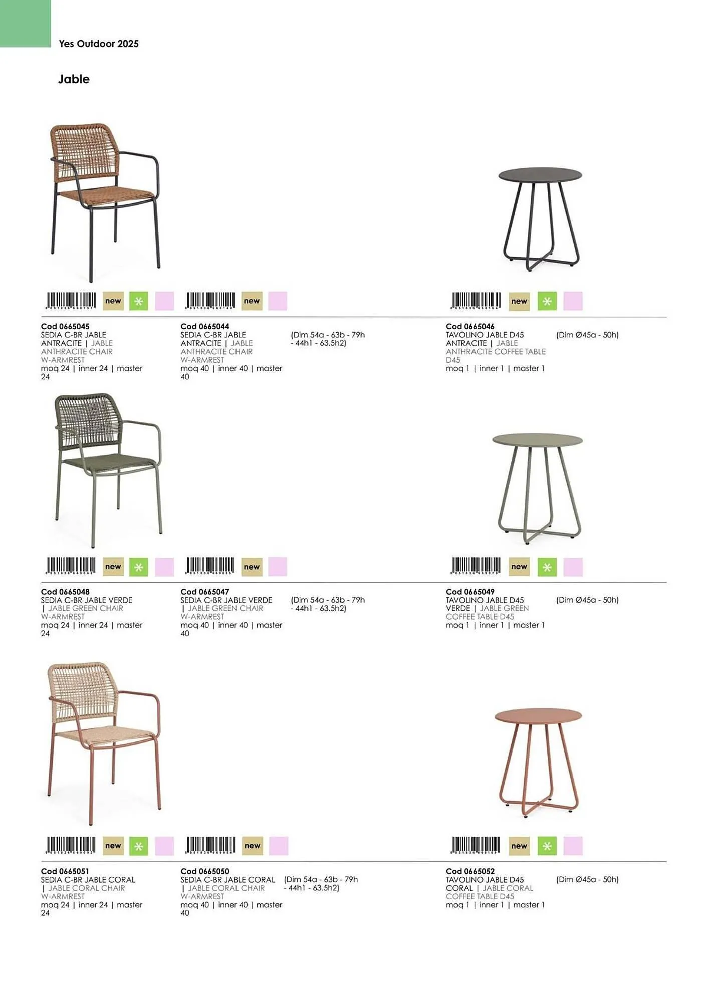 Volantino Bizzotto da 21 gennaio a 31 dicembre di 2025 - Pagina del volantino 67