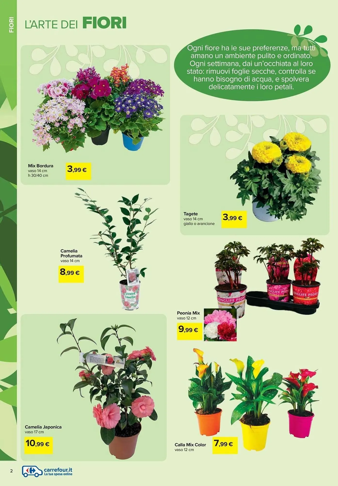 Volantino Carrefour Iper da 19 febbraio a 6 aprile di 2026 - Pagina del volantino 2