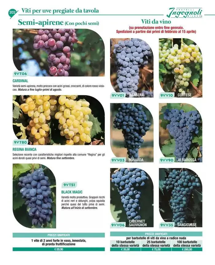 Catalogo guida 2025 da 20 gennaio a 31 dicembre di 2025 - Pagina del volantino 204